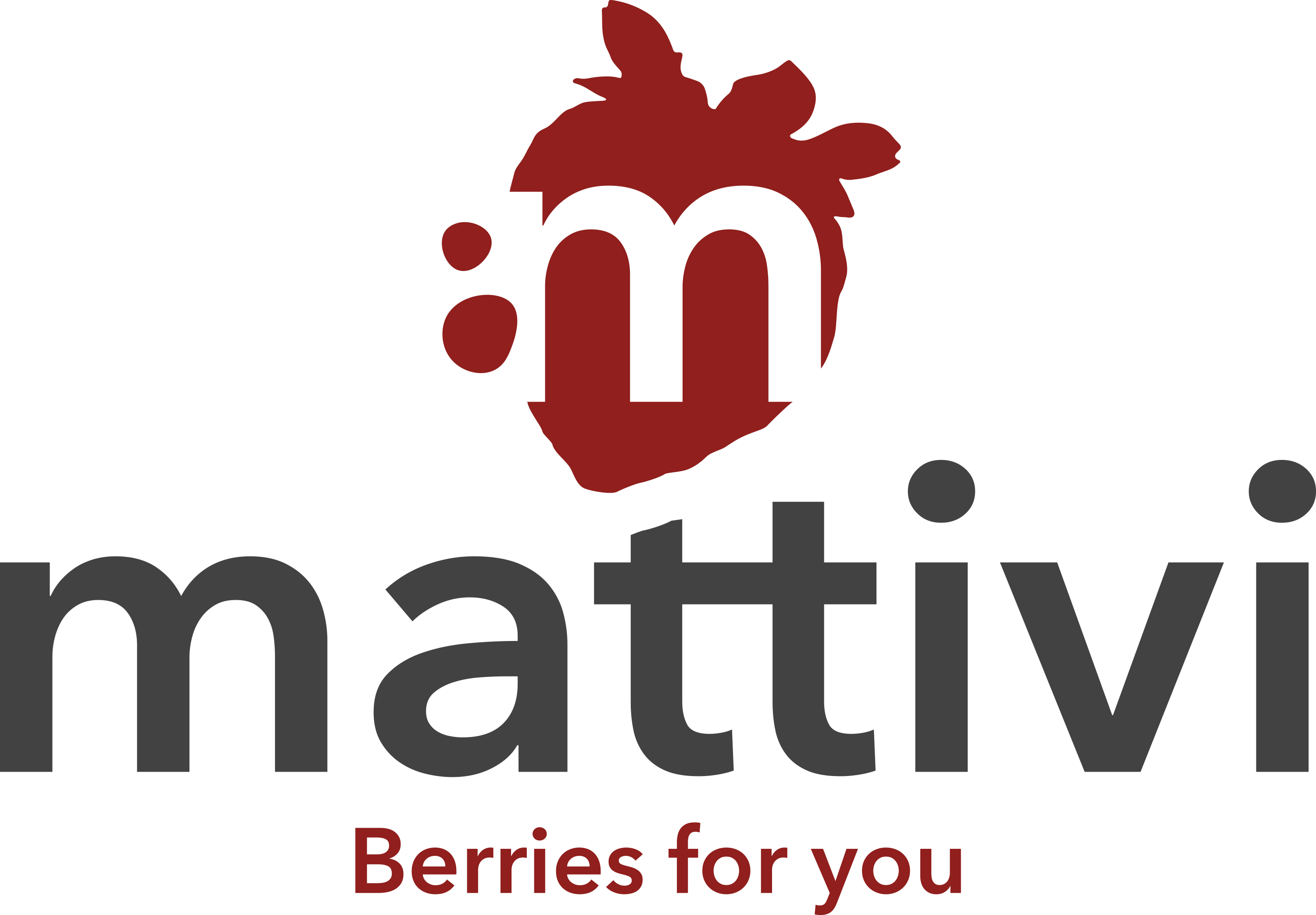 Mattivi Berries for You