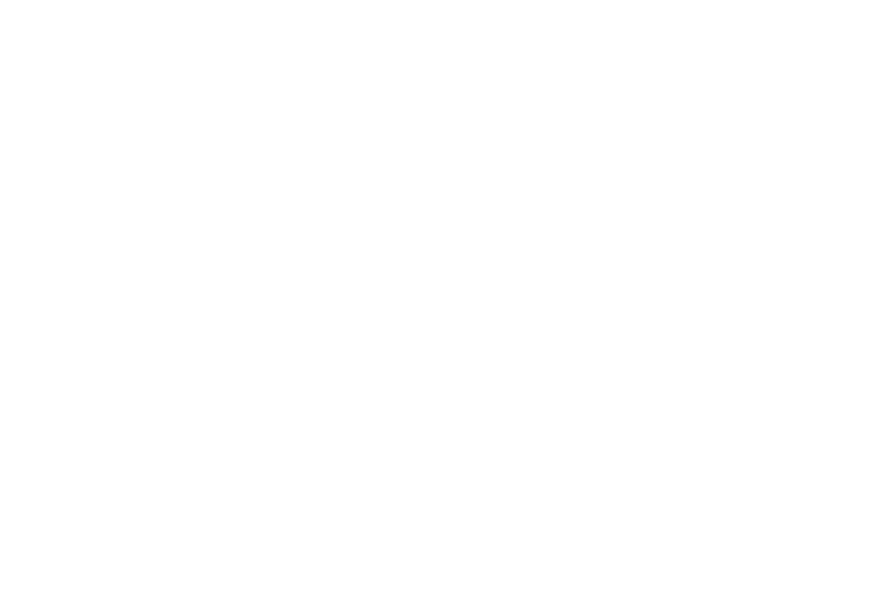 Mattivi — from Genetics to Berries