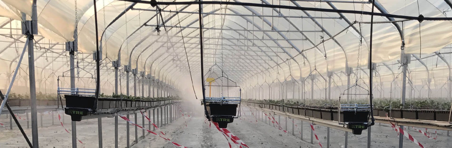 Propagation under screened greenhouse