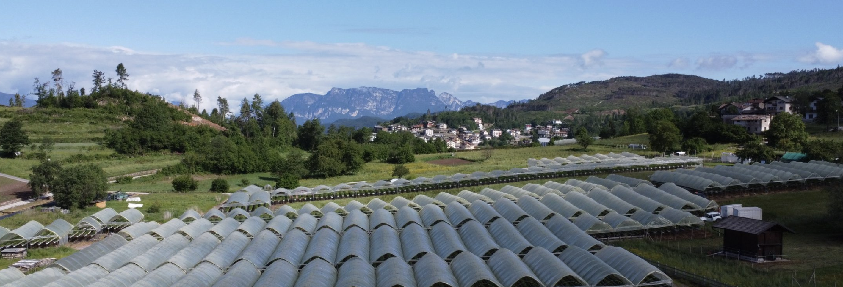 Tunnels and trial fields at Baselga di Pinè, with the Dolomites behind