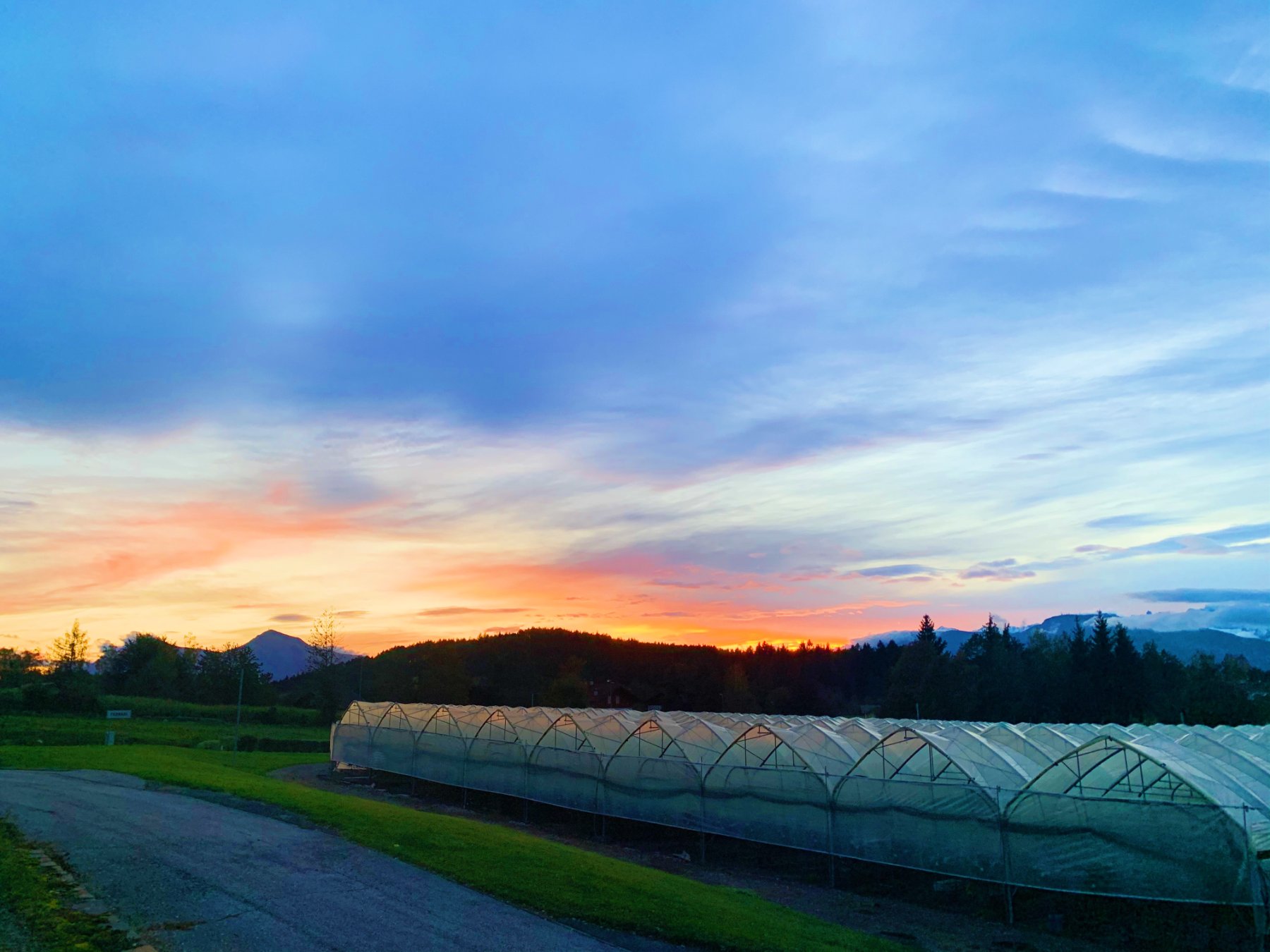 Greenhouses at Baselga di Pinè at sunset