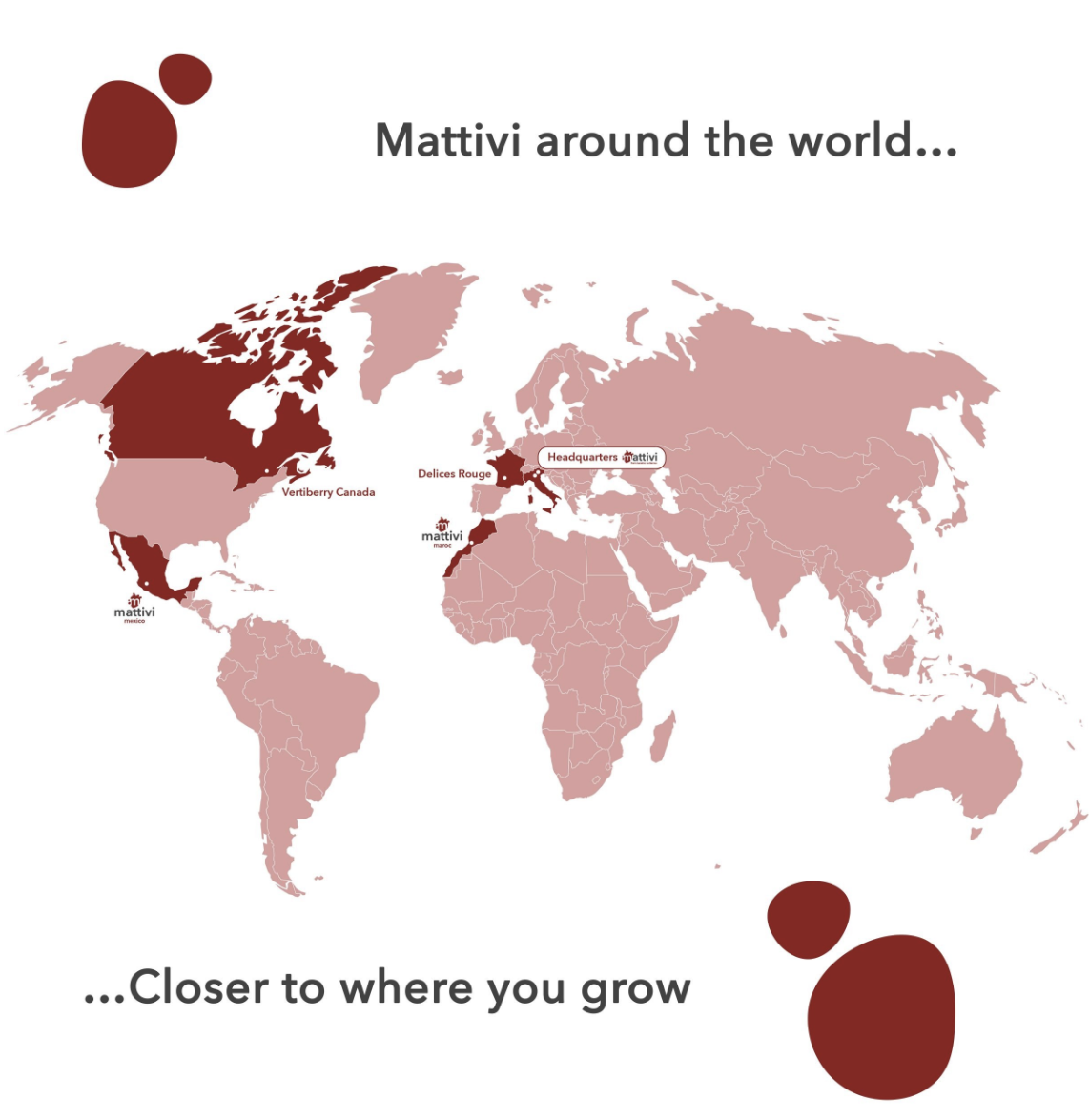 Mattivi around the world: headquarters in Italy, Delices Rouge in France, Mattivi Maroc, Mattivi Mexico and Vertiberry Canada