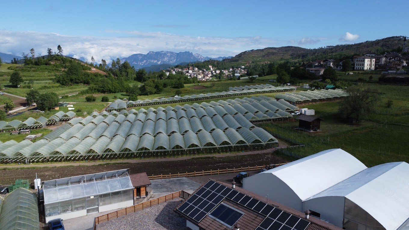 Mattivi greenhouses in Baselga di Pinè